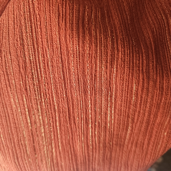 Express Rust Jumpsuit - Picture 4 of 9